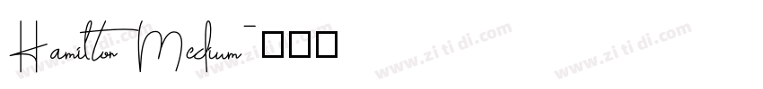 Hamilton Medium字体转换